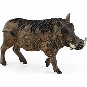 Warthog