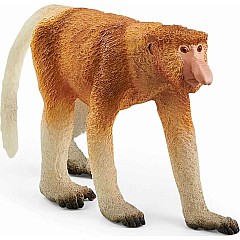 Proboscis Monkey
