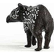 Tapir Baby