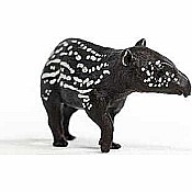 Tapir Baby