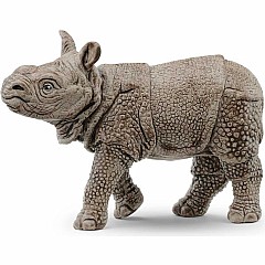 Indian Rhinoceros Baby