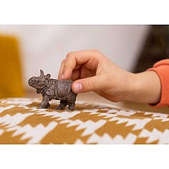 Indian Rhinoceros Baby