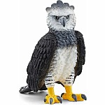 Harpy Eagle