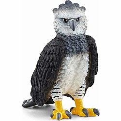 Harpy Eagle