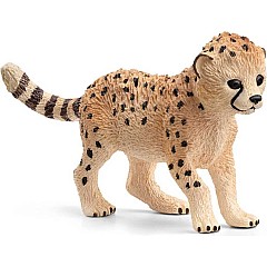 Cheetah Baby