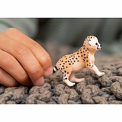 Cheetah Baby