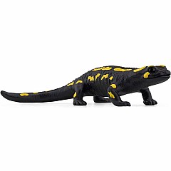 WILD LIFE Fire Salamander