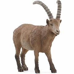 WILD LIFE Ibex