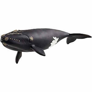 schleich WILD LIFE North Atlantic Right Whale