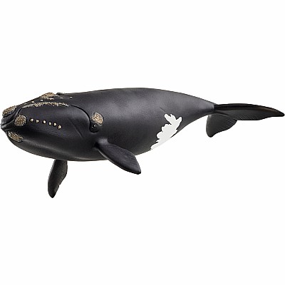 schleich WILD LIFE North Atlantic Right Whale