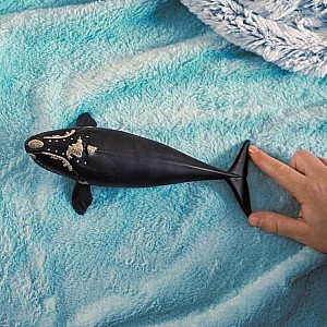 schleich WILD LIFE North Atlantic Right Whale