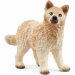 schleich WILD LIFE Arctic Wolf Cub