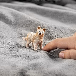 Arctic Wolf cub