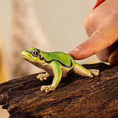 schleich WILD LIFE European Tree Frog