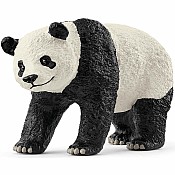 Giant Panda
