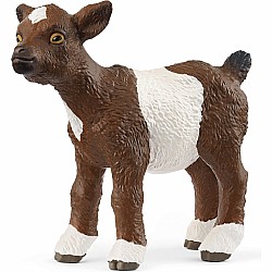 Goat Kid