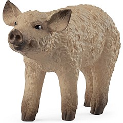 schleich FARM WORLD Mangalica Piglet
