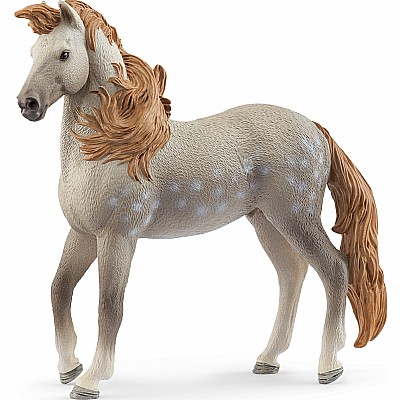 schleich HORSE CLUB Andalusian Stallion