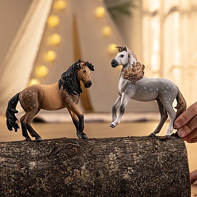 schleich HORSE CLUB Andalusian Stallion