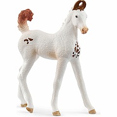 schleich HORSE CLUB Marwari Foal