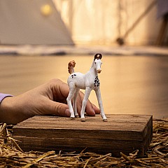schleich HORSE CLUB Marwari Foal