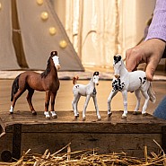 schleich HORSE CLUB Marwari Foal