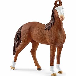 schleich Marwari Mare