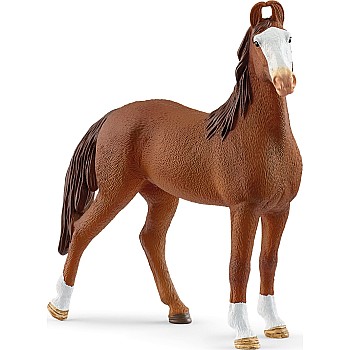 schleich Marwari Mare
