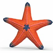 Starfish (color change) Animal Toy Figurine