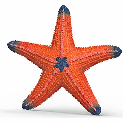 Starfish (color change) Animal Toy Figurine