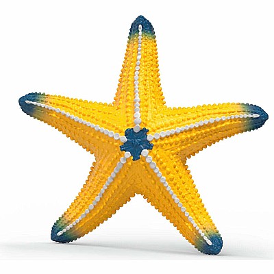 Starfish (color change) Animal Toy Figurine