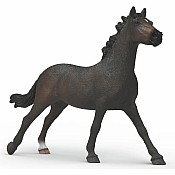 English Throrougbred Mare