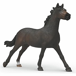 English Throrougbred Mare