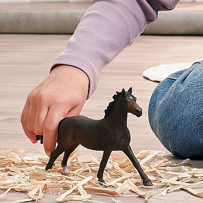 English Throrougbred Mare