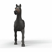 English Throrougbred Mare
