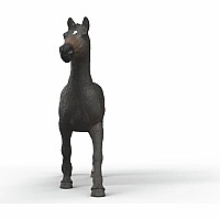 English Throrougbred Mare