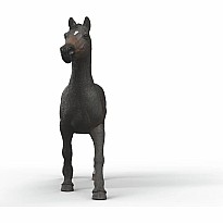 English Throrougbred Mare