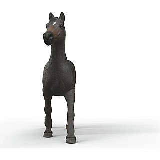 English Throrougbred Mare