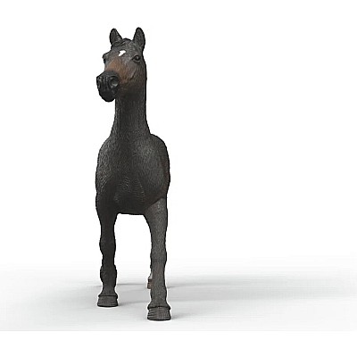 English Throrougbred Mare