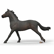 English Throrougbred Mare