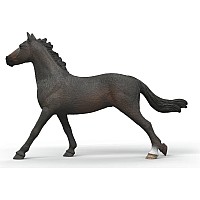 English Throrougbred Mare