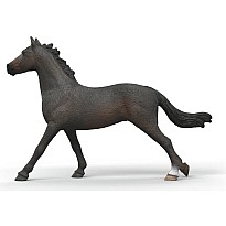 English Throrougbred Mare