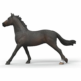 English Throrougbred Mare