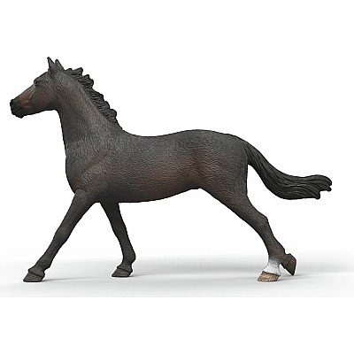 English Throrougbred Mare