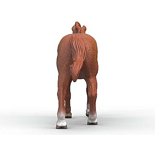 English Thorougbred Stallion Animal Toy Figurine