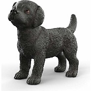 Black Labrador Retriever Puppy