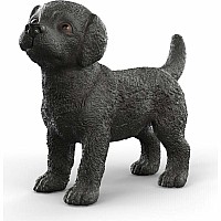 Black Labrador Retriever Puppy
