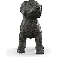 Black Labrador Retriever Puppy