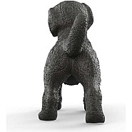 Black Labrador Retriever Puppy