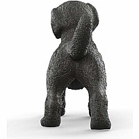 Black Labrador Retriever Puppy